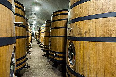 《传奇摔角手WrestleQuest》确定延期 8月22日登陆全平台